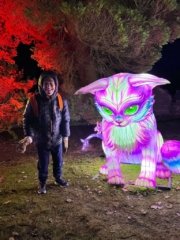 Alton Towers Lightopia