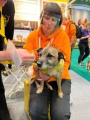 Crufts