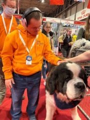 Crufts