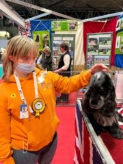 Crufts