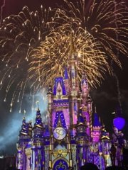 Disney World Florida