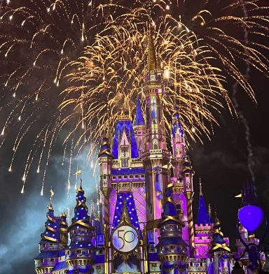 Disney World Florida 7